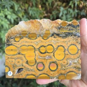 Kabamby Ocean Jasper Freeform